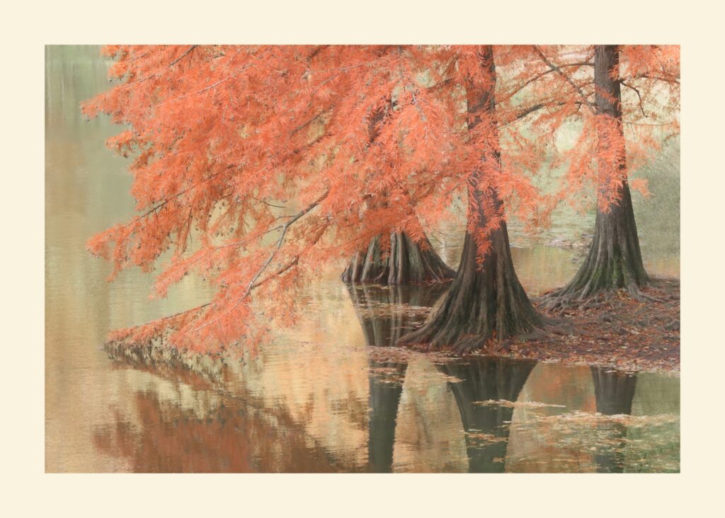 Anita Evers-verkleind