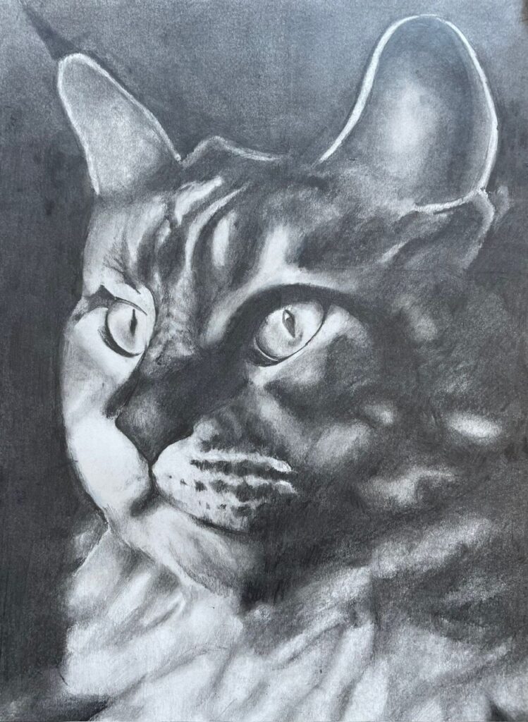 Anna Pestych - 'Katje' - houtskool - 29,7 x 42 cm