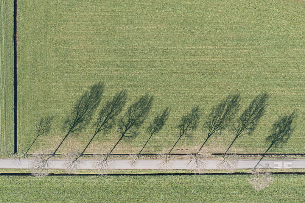 Bart Smulders - 'Schaduwspel' - fotografie