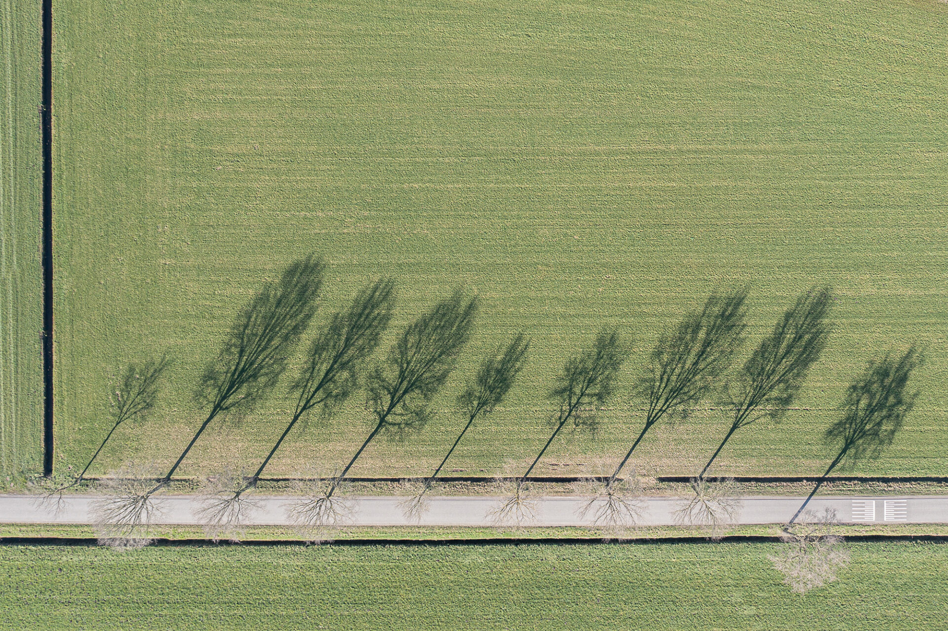 Bart Smulders - 'Schaduwspel' - fotografie