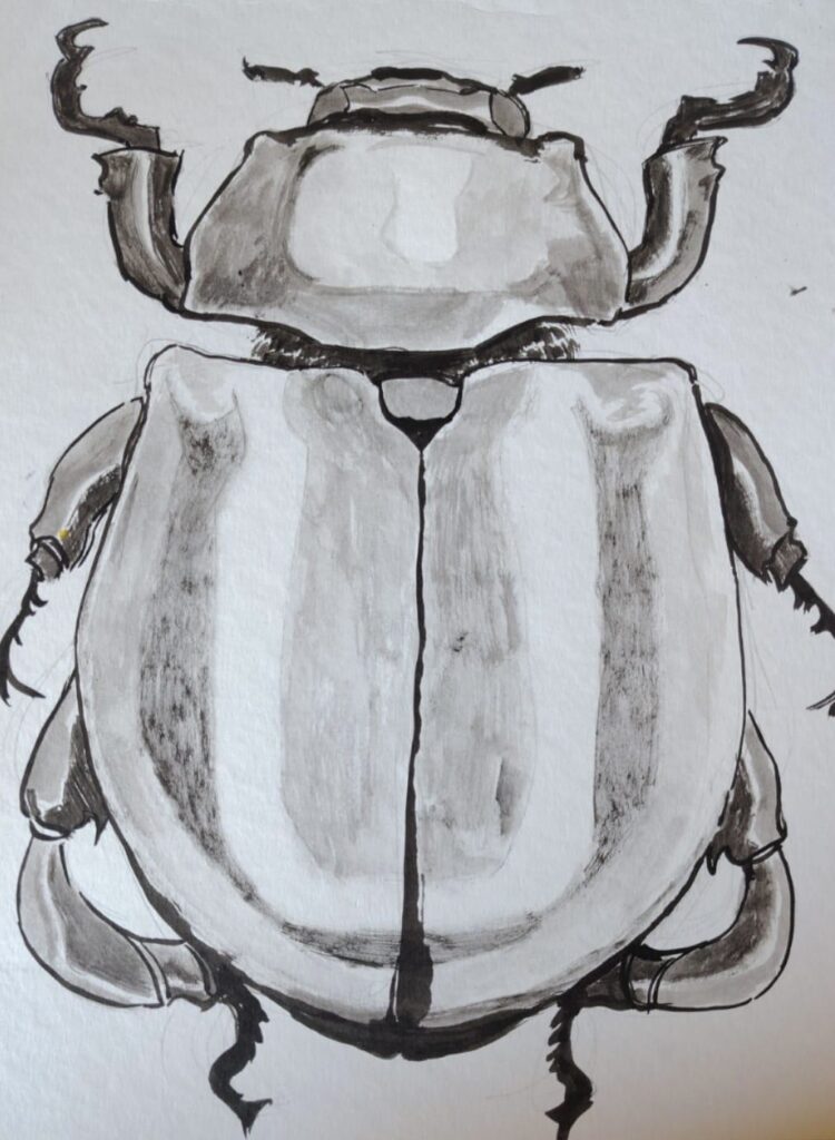 Tonke_Janssen_Oostindische inkt op papier_24,5x32cm