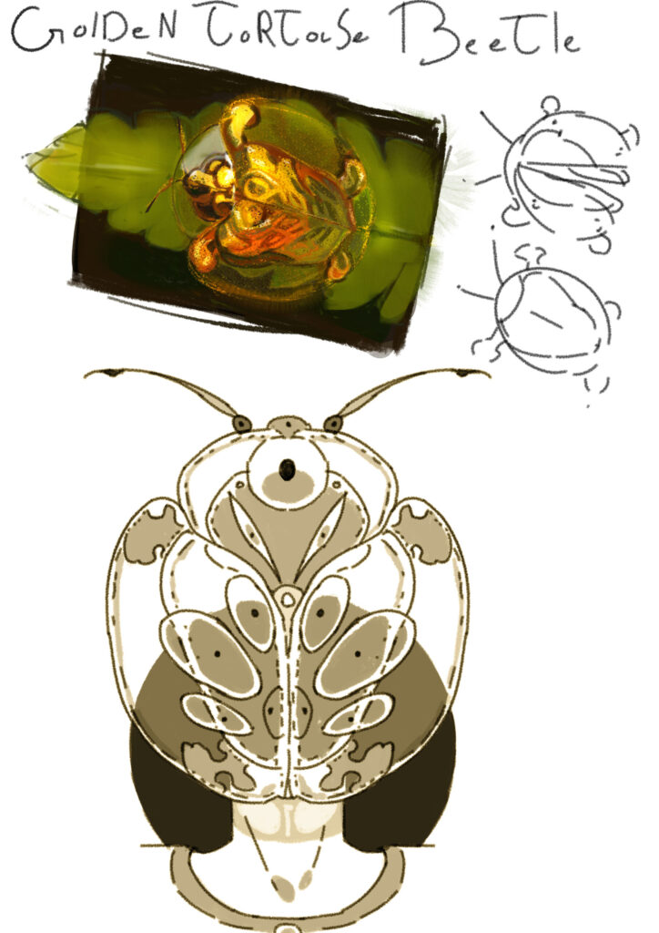 Tonke-Janssen-Golden-tortoise-beetle-pagina-scaled