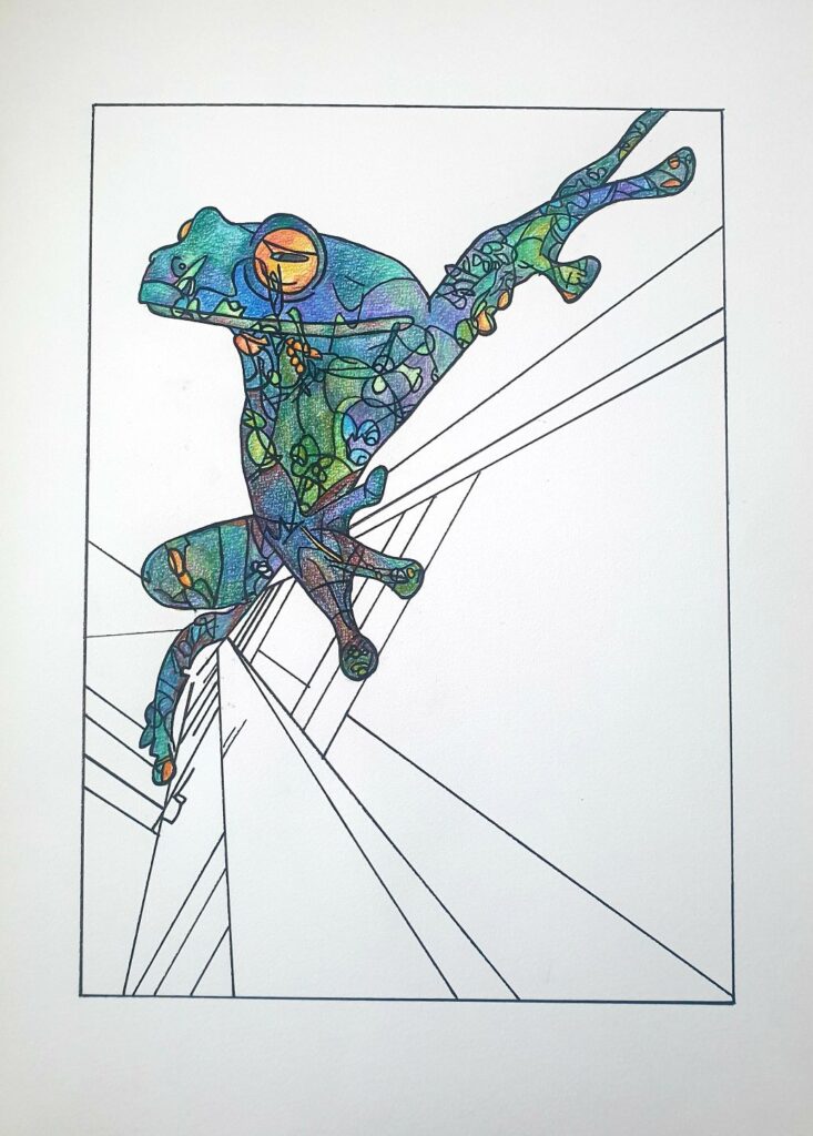 Bart Hoogveld - Zonder titel - kleurpotlood en inkt op papier - 21 x 30 cm