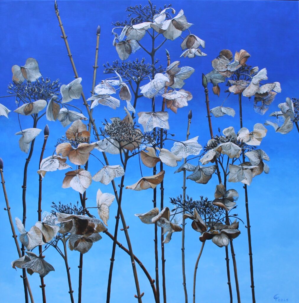 Carla van Gisbergen - 'Uitgebloeide hortensia' - acryl op gepoedercoat metaal - 100 x 100 cm