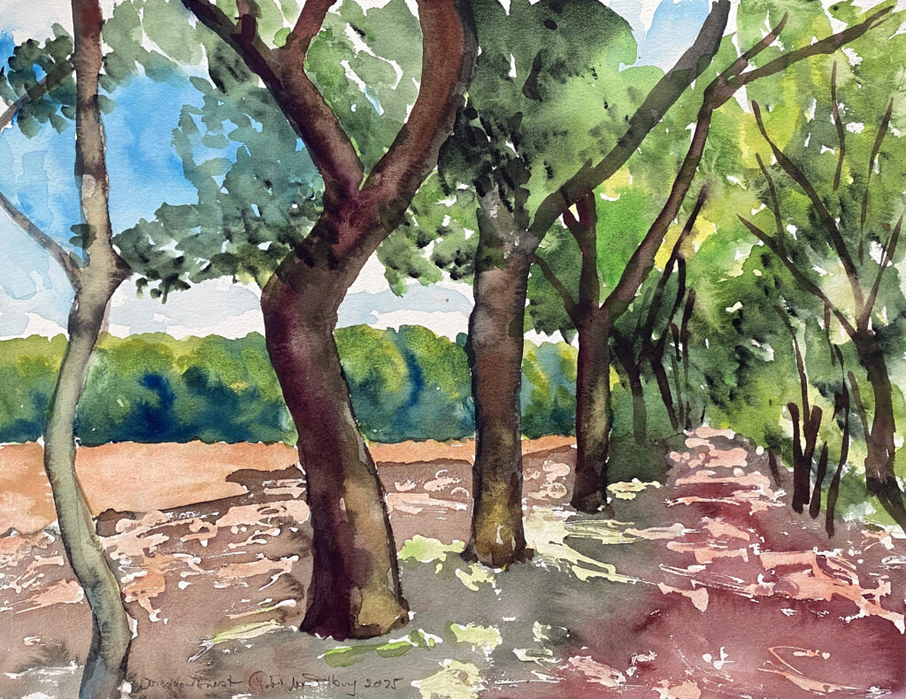 Peter van Tilburg - 'Ooievaarsnest' 2025 - aquarel - 36 x 48 cm